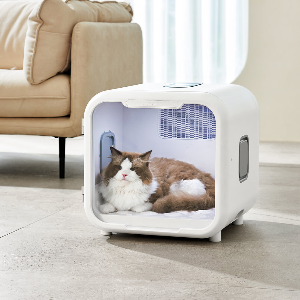 PETJC intelligent pet dryer New product launch